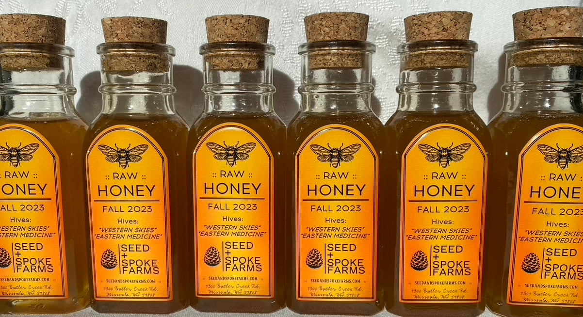 A photo of a group of Vintage Muth Jars full of honey in a line