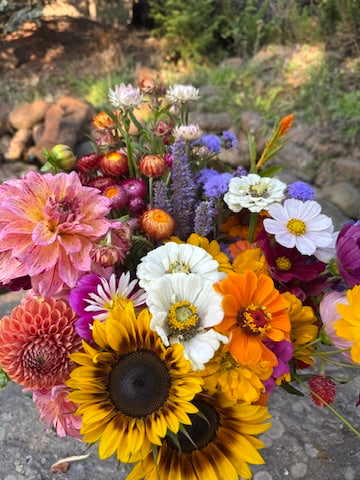Bulk Bloom Bucket
