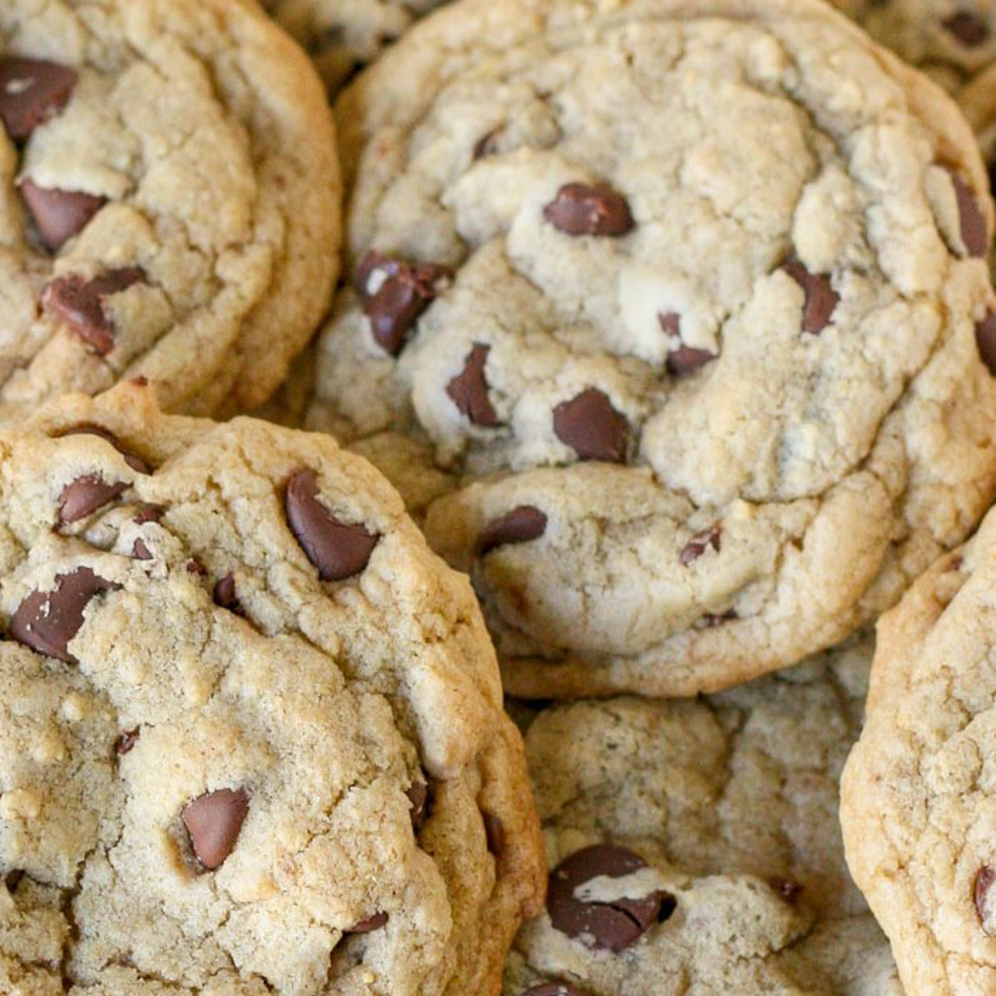 Chewy Chocolate Chip Cookies