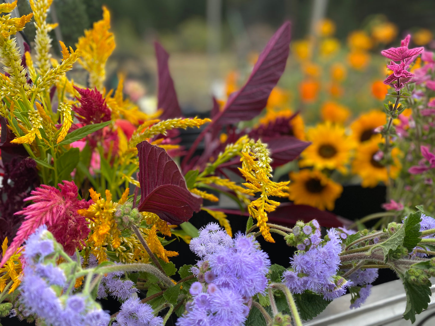 Bulk Bloom Bucket