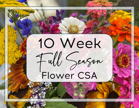 Summer Flower CSA: 10 Weeks of Blooms