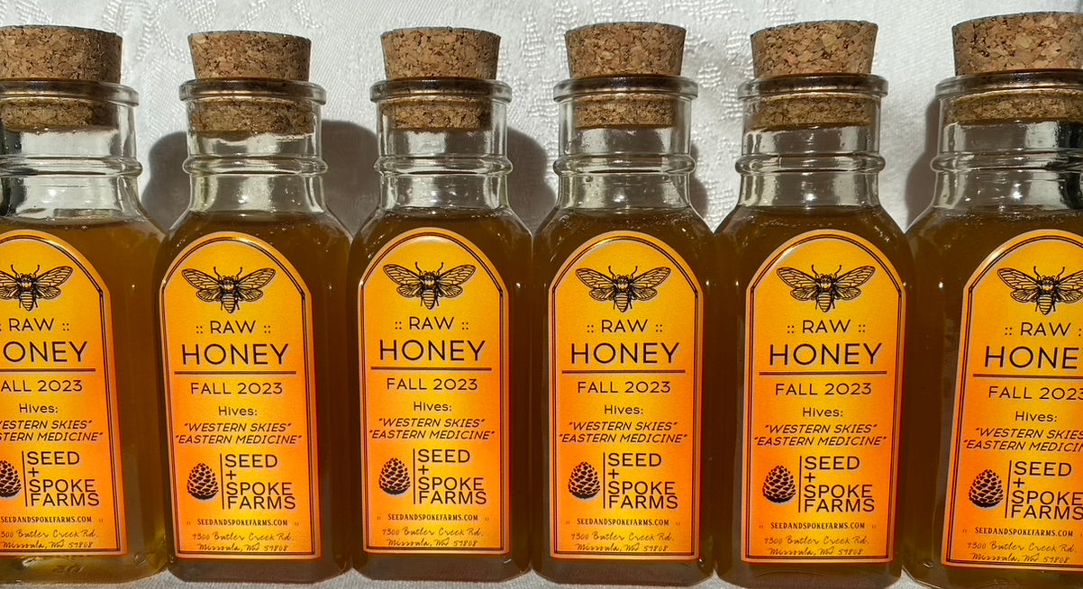 A photo of a group of Vintage Muth Jars full of honey in a line 