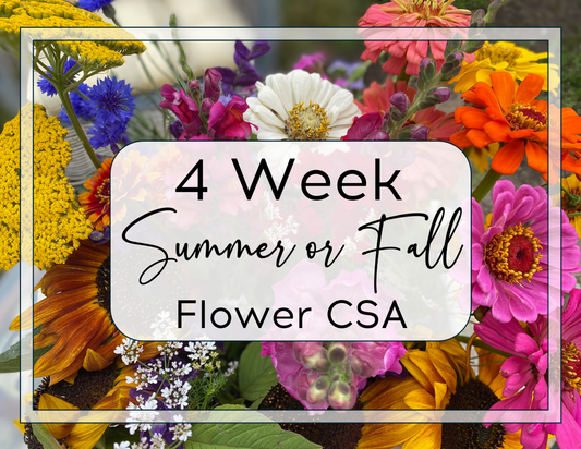 Summer/Fall Flower CSA: 4 Weeks of Blooms
