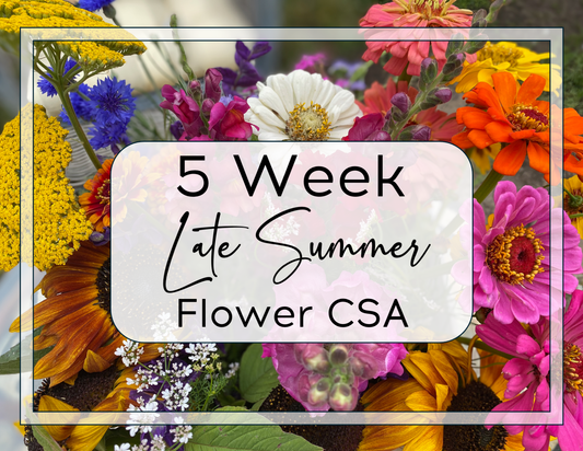 Late - Summer Flower CSA: 5 Weeks of Blooms
