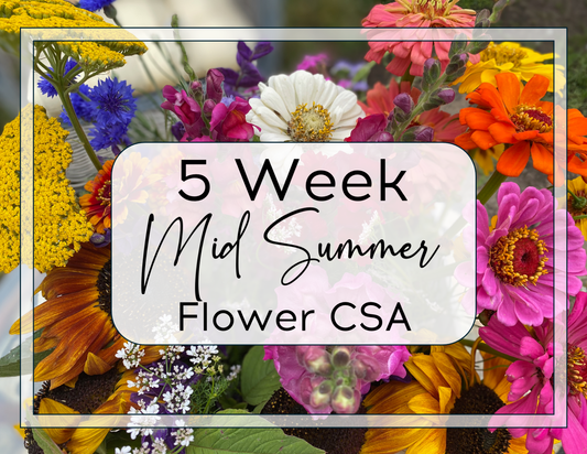 Mid - Summer Flower CSA: 5 Weeks of Blooms