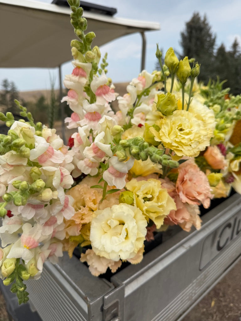 Bulk Bloom Bucket