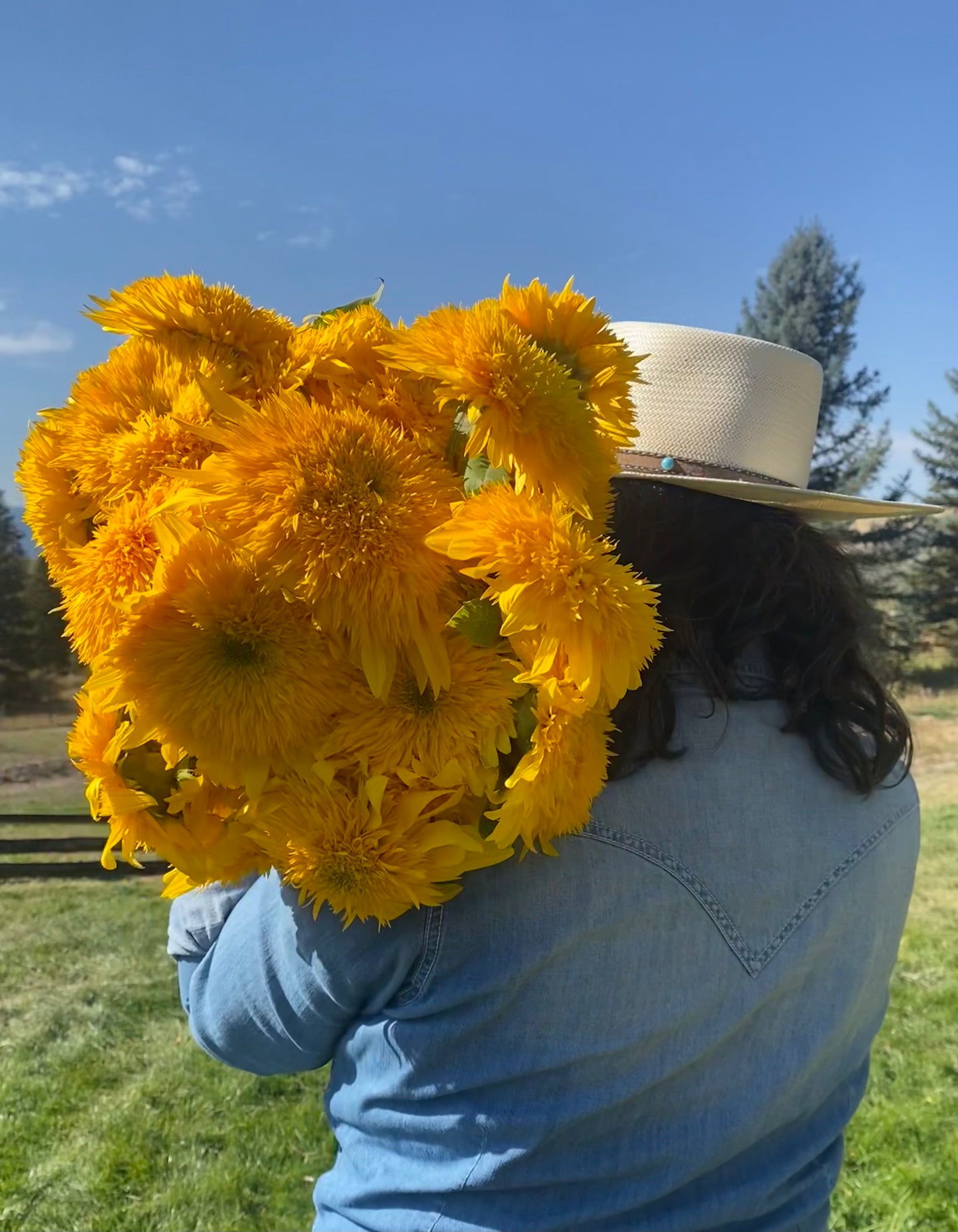 Sunflower Only CSA - 4 Weeks