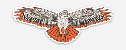 Red-Tailed Hawk Sticker