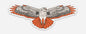 Red-Tailed Hawk Sticker