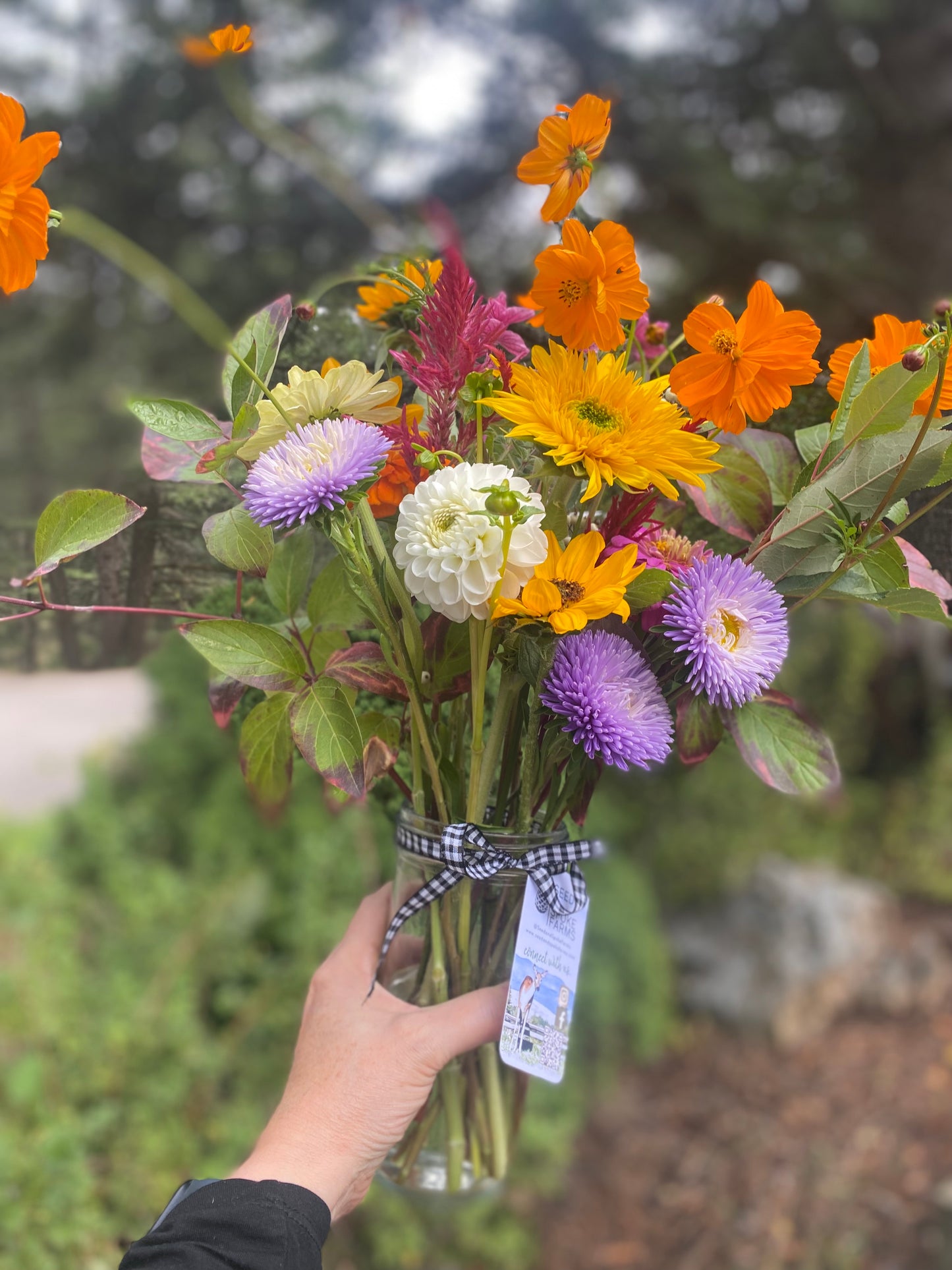 Seasonal CSA - 5 Weeks