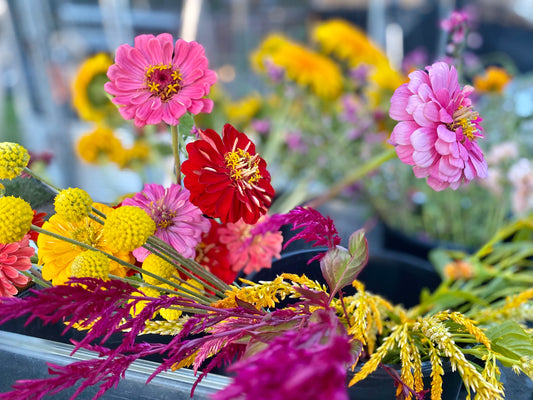 Bulk Bloom Bucket