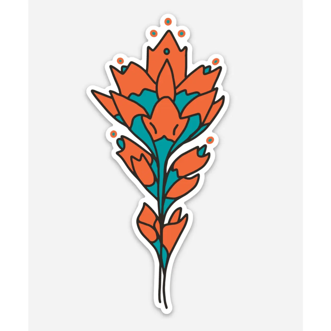 Indian Paintbrush Wildflower Glacier Park Montana Sticker