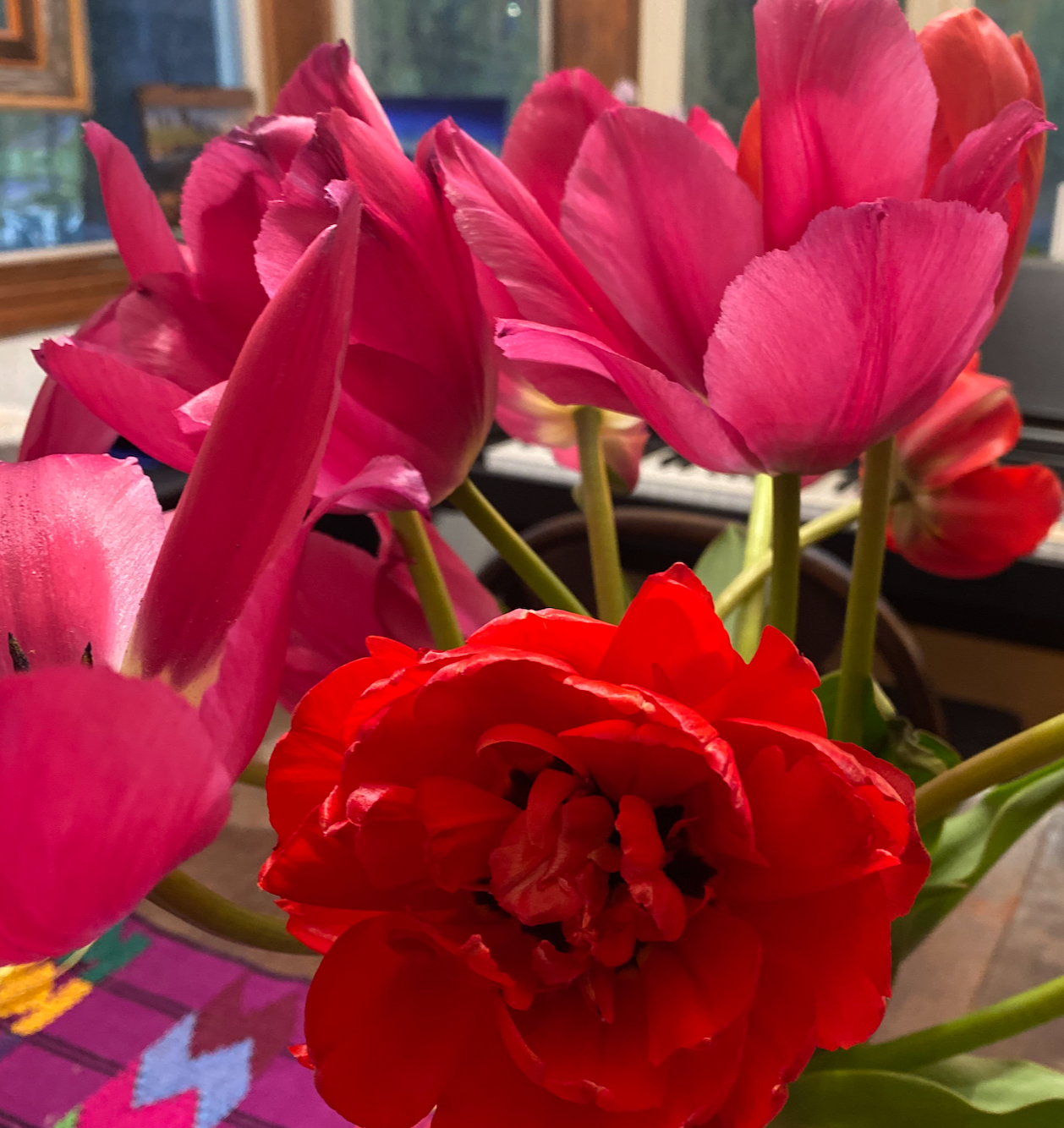 Spring Tulip CSA - 4 Weeks