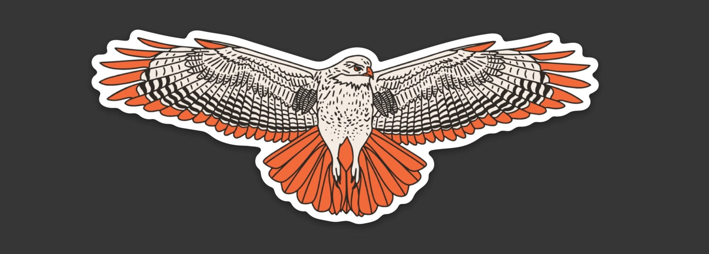 Red-Tailed Hawk Sticker