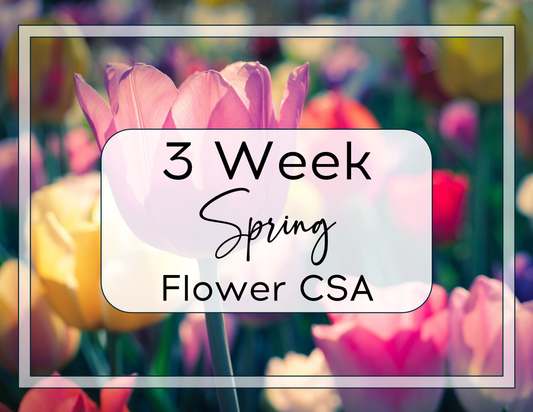 Spring Flower CSA: 3 Weeks of Blooms