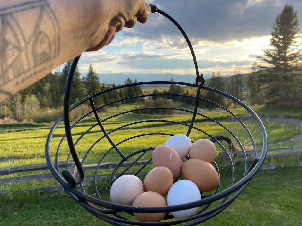 One Dozen Farm Fresh Eggs